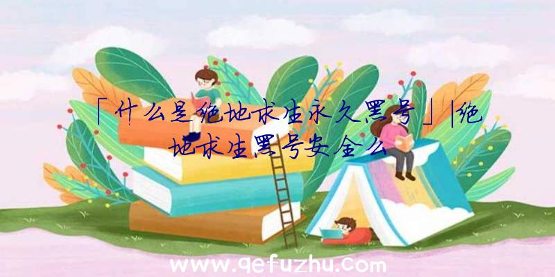 「什么是绝地求生永久黑号」|绝地求生黑号安全么